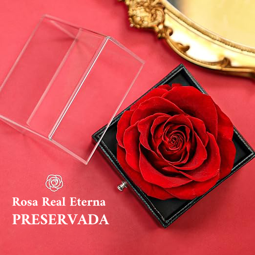 Rosa Roja Eterna